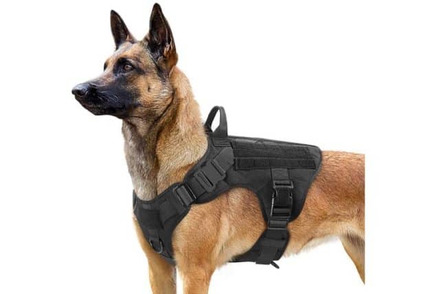 8 Best Dog Harnesses for Australian Shepherds