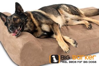 7 Best Dog Beds For German Shepherds