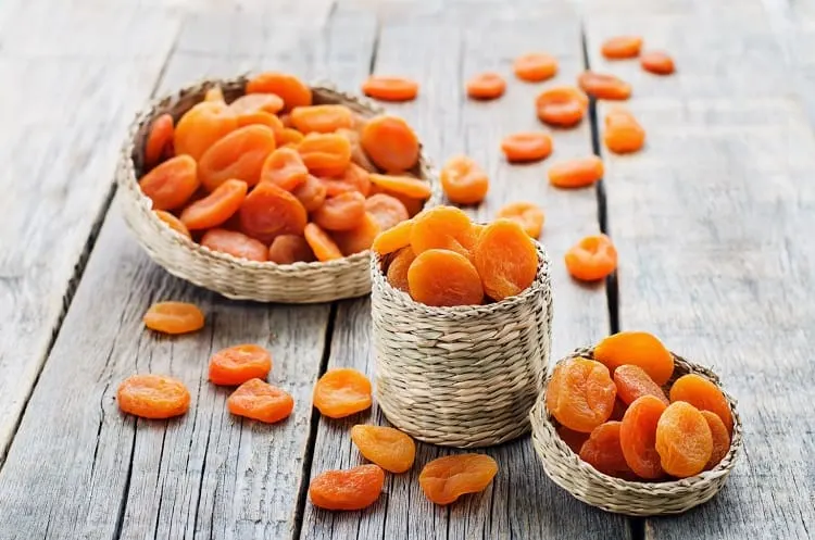 are apricots safe for dogs