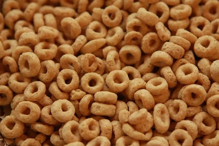 are honey nut cheerios bad for dogs