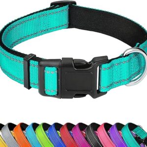 Adjustable Reflective Neoprene Dog Collar in Teal