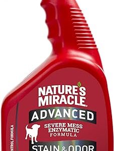 Advanced Stain & Odor Eliminator for Pets