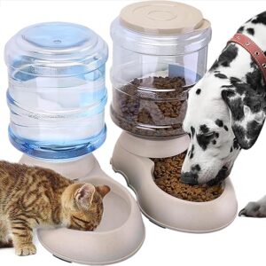 Automatic Cat Feeder and Water Dispenser Set