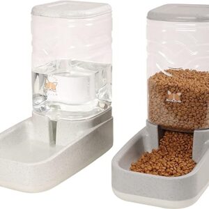 Automatic Pet Food and Water Dispenser