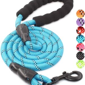 BAAPET Dog Leash with Padded Handle