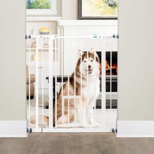 Carlson Extra Tall Pet Gate Set