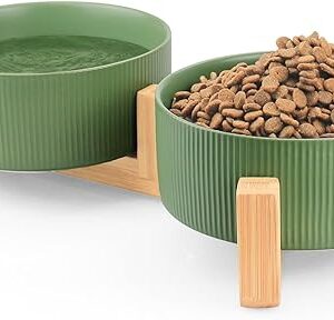 Ceramic Pet Bowls with Wooden Stand