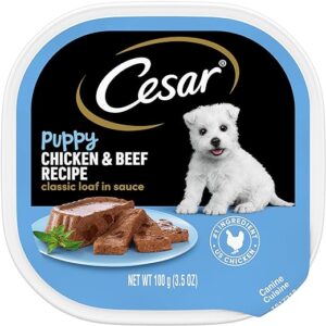 CESAR Puppy Wet Dog Food Variety Pack