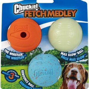 Chuckit Dog Ball Toys Variety Pack