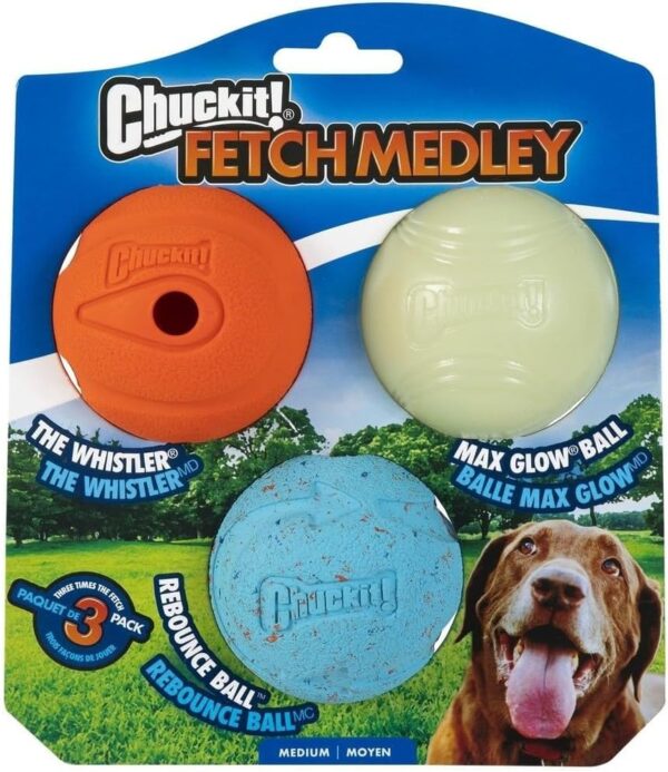 Chuckit Dog Ball Toys Variety Pack