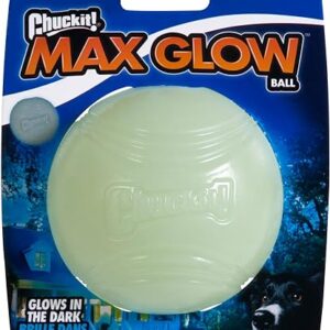 Chuckit! Max Glow Ball Dog Toy