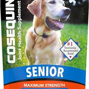 Cosequin Senior Joint Health Soft Chews