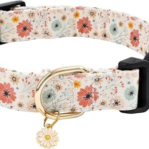 Cotton Designer Dog Collar with Flower