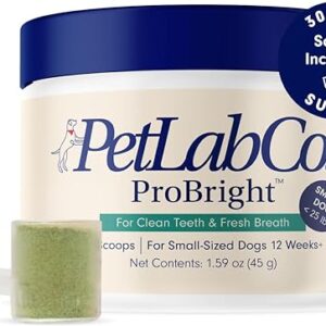 Dental Powder for Small Dogs