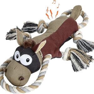 Durable Dog Toys for Aggressive Chewers