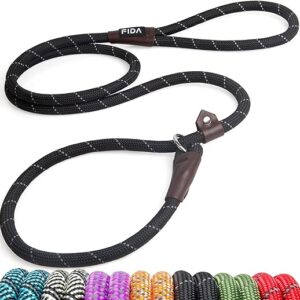 Durable Slip Lead Dog Leash, 6FT