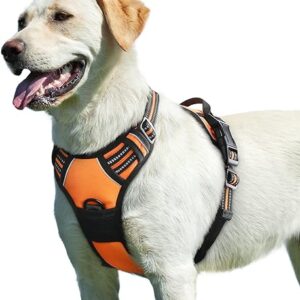 Eagloo Large Dog No-Pull Harness