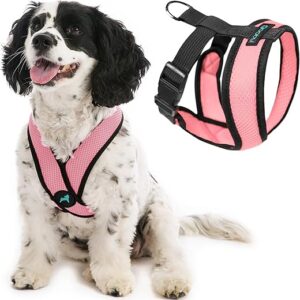 Gooby Comfort X Head Harness - Pink, Small