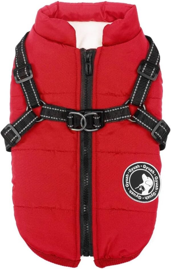 Gyuzh Winter Dog Coat with Harness