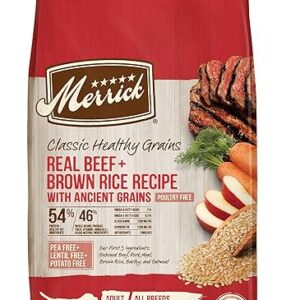 Healthy Grains Adult Dog Food with Beef