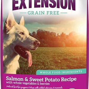 Healthy Puppy Food, Grain-Free Salmon Recipe