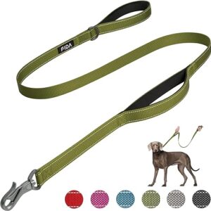 Heavy Duty Dog Leash with Handles