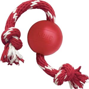 KONG Rope Dog Fetch Toy - Small Dogs