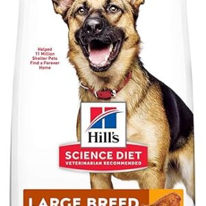 Large Breed Senior Dog Food, Chicken Flavor