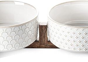 LE TAUCI Ceramic Dog Bowl Set