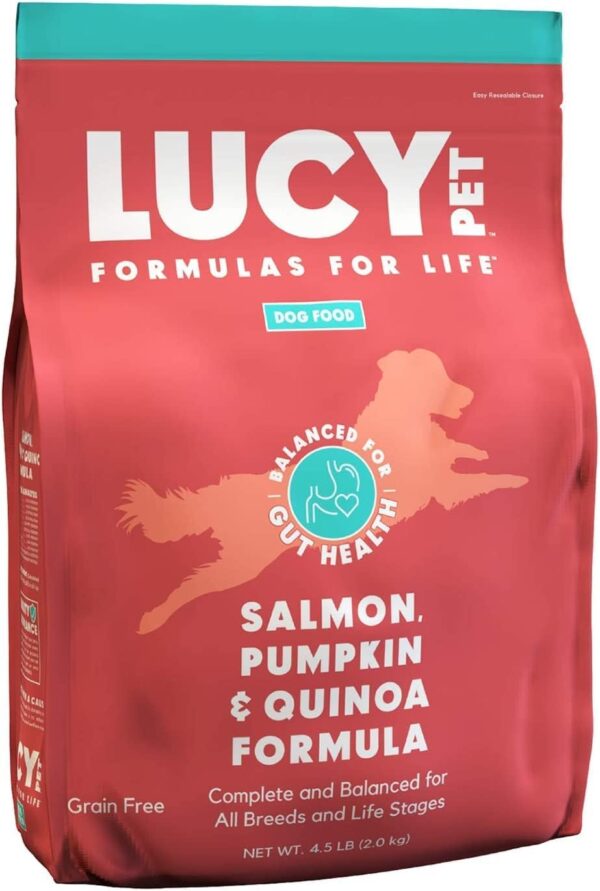 Lucy Pet Salmon & Pumpkin Dog Food