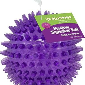 Medium Squeaker Ball Dog Toy, Assorted Colors