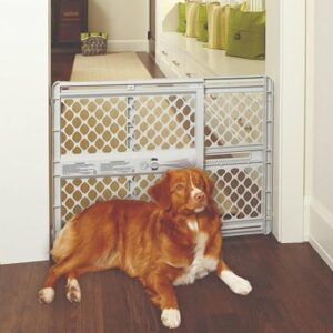 North States Universal Pet Gate: Pressure Mounted