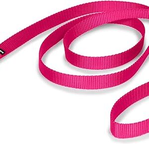 Nylon Dog Leash - Strong, Durable, Raspberry