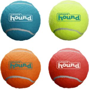 Outward Hound Squeaker Ballz Dog Toy