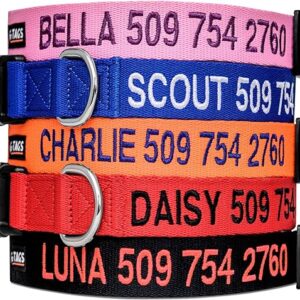 Personalized Embroidered Dog Collar for Pets