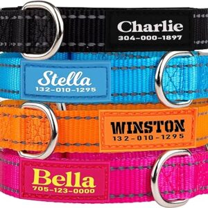 Personalized Reflective Dog Collar with Name