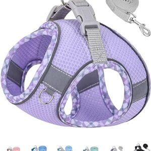 Petank Dog Harness and Leash Set