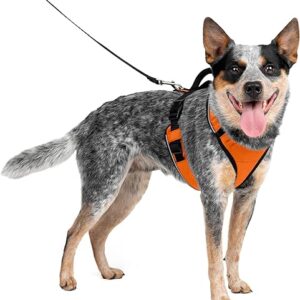 PetSafe EasySport Harness with Control Handle