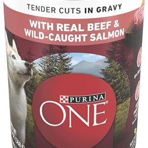 Purina ONE High Protein Wet Dog Food