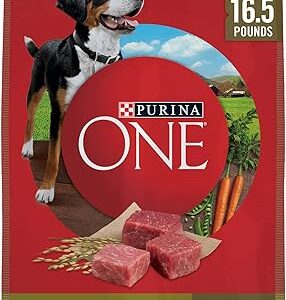 Purina ONE Lamb Rice Dog Food