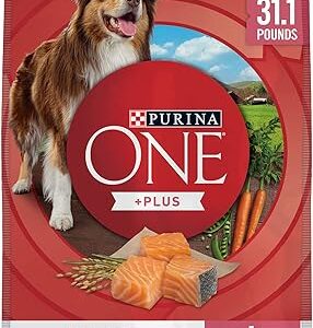 Purina ONE Sensitive Stomach Dog Food