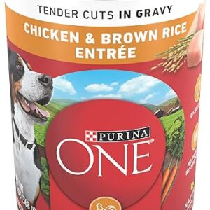 Purina ONE Wet Dog Food Chicken & Brown Rice