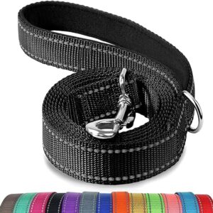 Reflective Dog Leash with Padded Handle