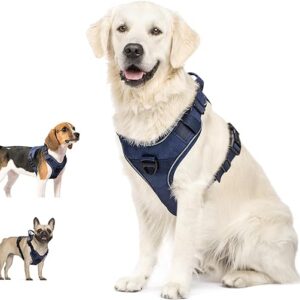 Reflective No-Pull Dog Harness, Blue, Large