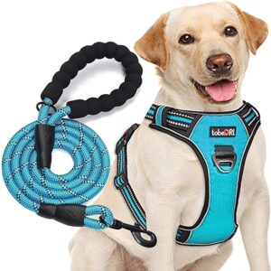 Reflective No Pull Dog Harness with Leash