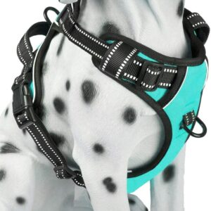 Reflective No-Pull Dog Harness with Leash Attachments