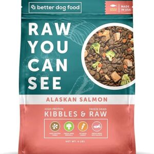 Salmon Dry Dog Food with Raw