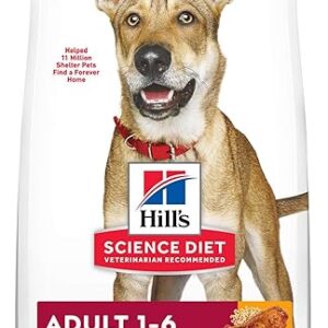 Science Diet Adult Dog Food, Chicken