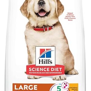 Science Diet Puppy Large Breed Dog Food