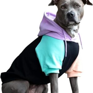 Spark Paws Cyber Punk Dog Hoodie